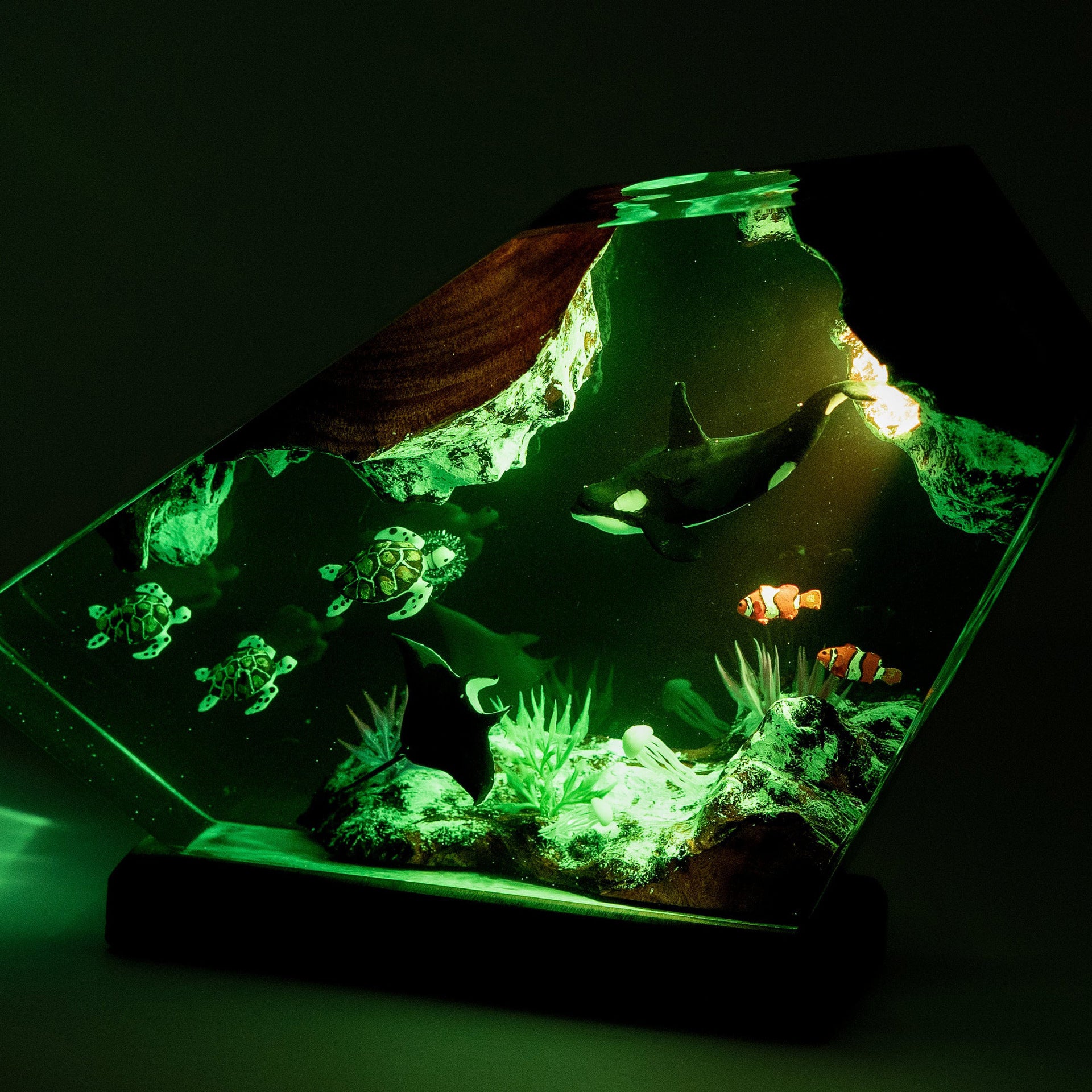 Orcas and Turtles Night Light Decor