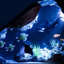 Orcas and Turtles Night Light Decor