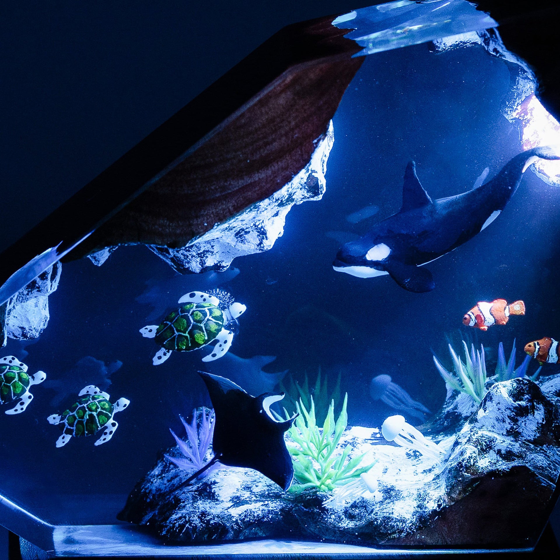Orcas and Turtles Night Light Decor